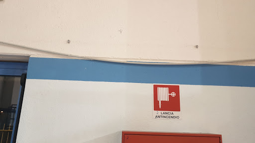 Palarile - Visual