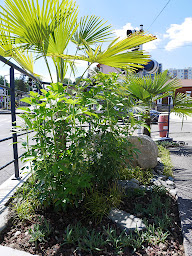 Photo n°12 de CENTURY 21 Immobilier Voiron à Voiron (Agence immobilière)