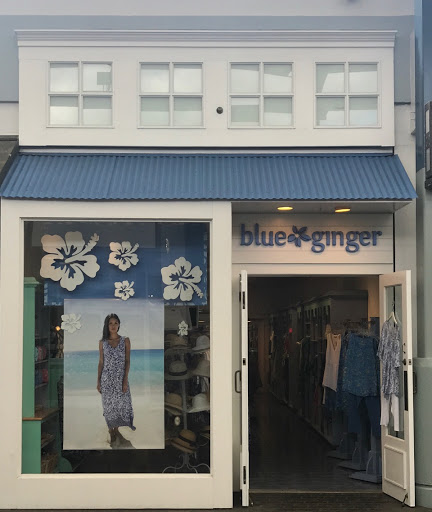 Blue Ginger - Visual