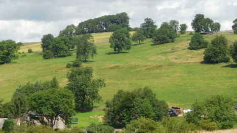 site_photo4