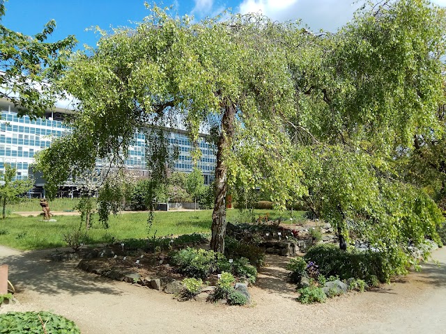Johannes Gutenberg University Mainz Botanical Garden