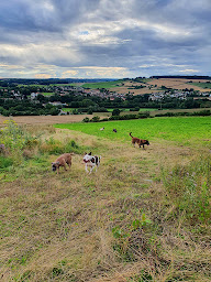 Photo n°12 de Fondation Clara Beauvais à Beauvais (Refuge pour animaux)