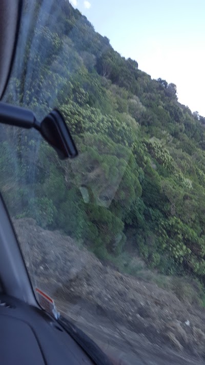Photos of Waipapa Bay Crayfish and Camp