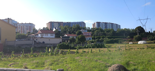 Feáns - Visual