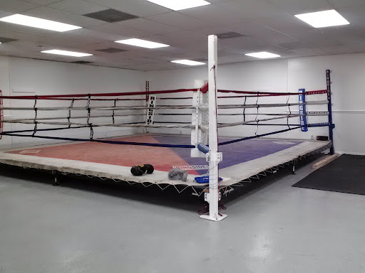 KO Fitness, Inc - Thumbnail