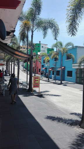 Centro Estatal De Justicia Logo