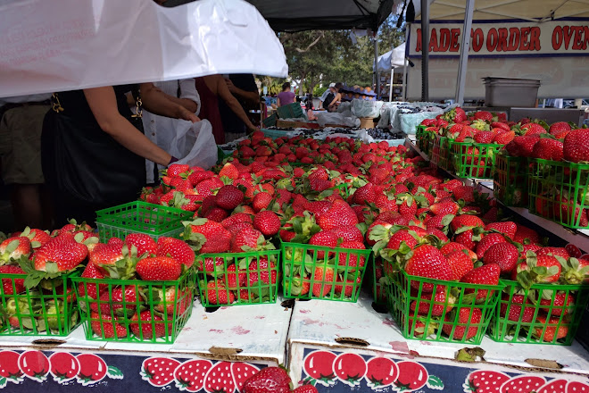 Visit The Gardens Greenmarket On Your Trip To Palm Beach Gardens