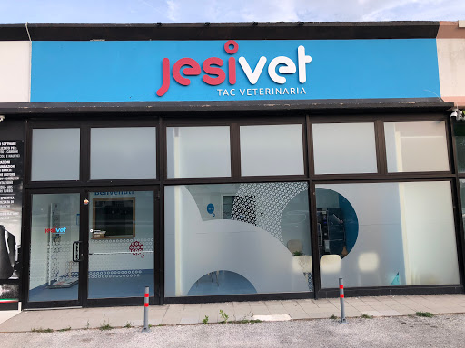 JesiVet - Visual
