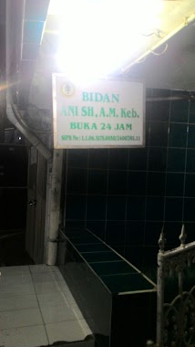 Bidan Ani, Author: lukman hakim