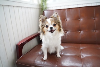 wan smile ＮＩＣＯ