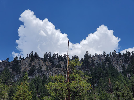 Kit Carson Campground - Visual