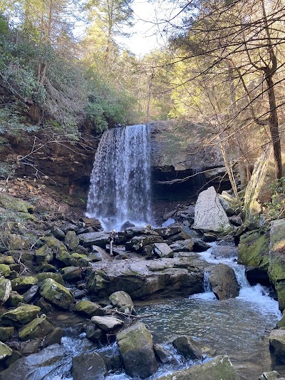 Collins Gulf at South Cumberland State Park