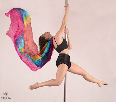 Studio Aline Santos - Pole Dance, Lira Circense, NeoPilates, Chair Dance e Fitness
