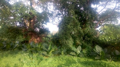 Photos of Parks and Gardens