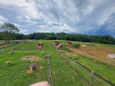 Lakota Ranch Farm Store