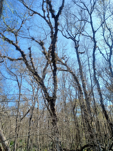 Baldwin Rail Trail - Halsema Trailhead Gallery - United States