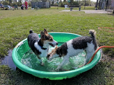 Wickham Park Dog Park