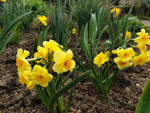 Verein der Gartenfreunde Wernau e.V. - Thumbnail
