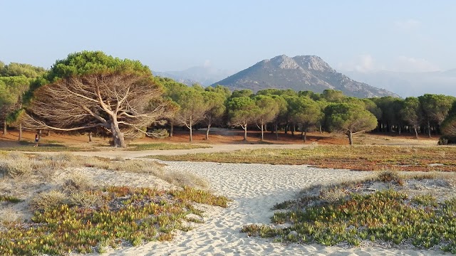 Plage de Lozari