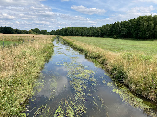 Naturpark Hümmling - Thumbnail