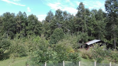 Photos of Aldea Liucura