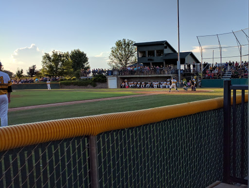 Spicer Ball Diamonds