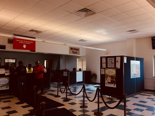 Appleton DMV - Visual
