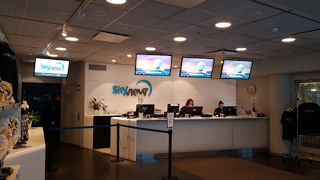 Skyview