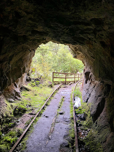Charming Creek Walkway (Seddonville Trail Head) - Thumbnail