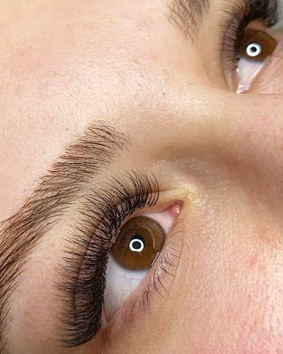 Lashartlea - Wimpernlifting & -verlängerung Logo