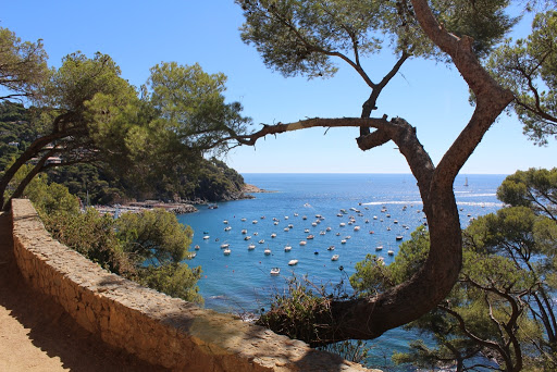 Barcelona Holiday - Thumbnail