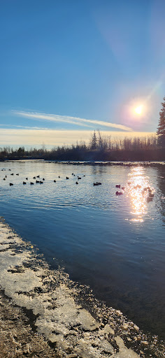 Chena Riverwalk - Visual