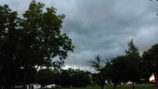 Chestnut Grove Park - Thumbnail