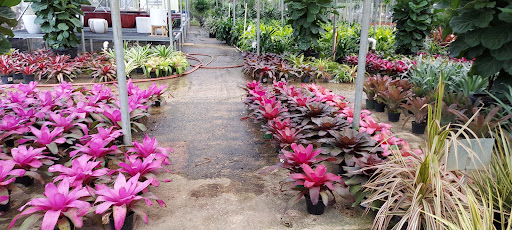 Byron Pike Nursery - Thumbnail