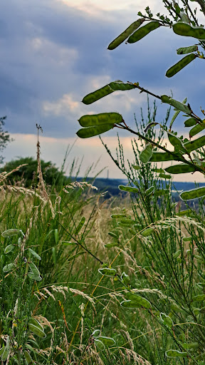 Aussichtspunkt Großer Kranzberg - Thumbnail