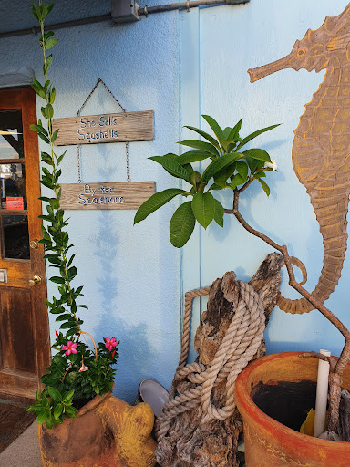Sea Shell Shoppe - Thumbnail