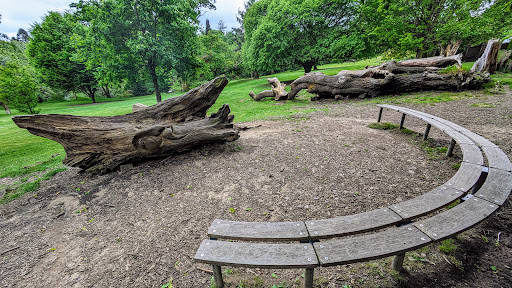 Magical Story Tree