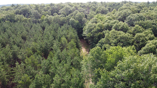 Springhetti Acres - Visual