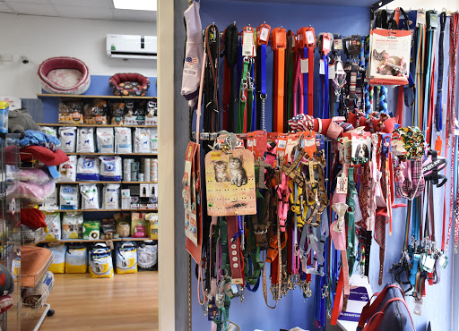 Ambulatorio Veterinario Cilea Gallery - Italy