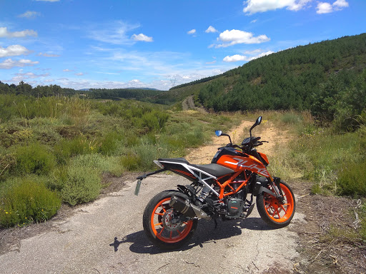 Moto TT - Visual