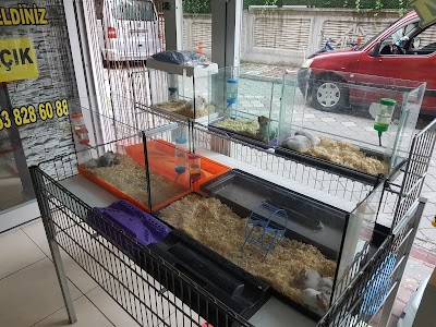 Organikcim Petshop Market