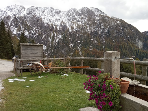Agriturismo Malga Poccet - Thumbnail