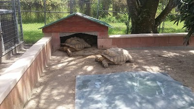 Photos of Big Cat Habitat & Gulf Coast Sanctuary
