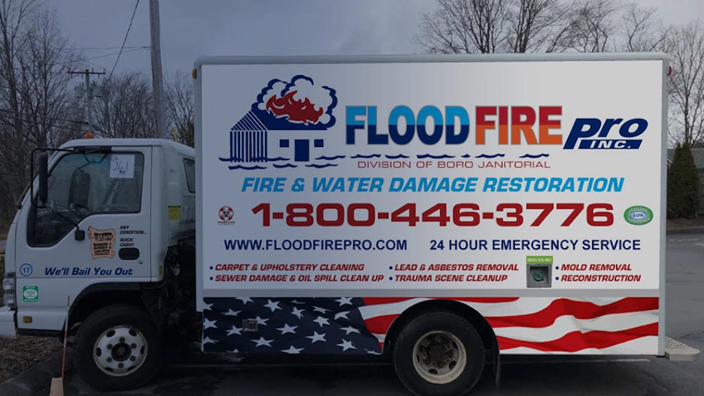 Flood Fire Pro photo