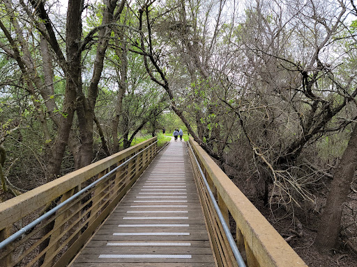 Cosumnes River Preserve - Thumbnail
