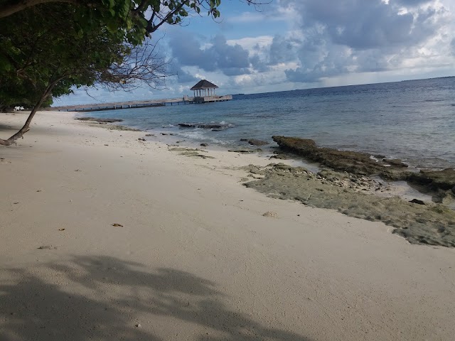 Amilla Fushi