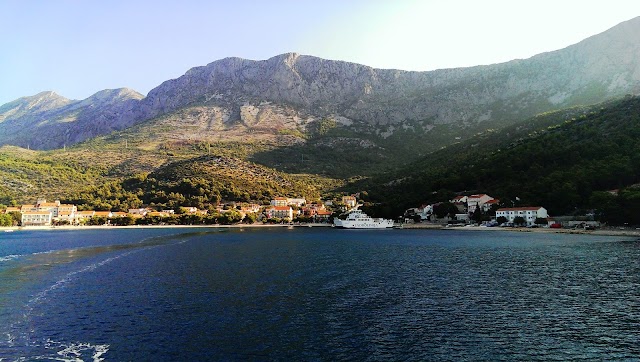 Drvenik