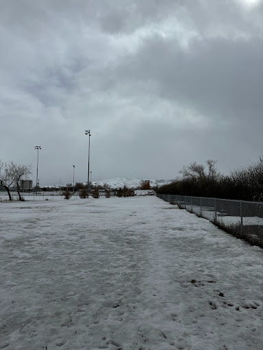 Lander Dog Park - Thumbnail