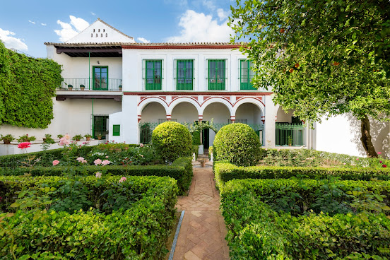 Visita Cultural Palacio Bucarelli by null