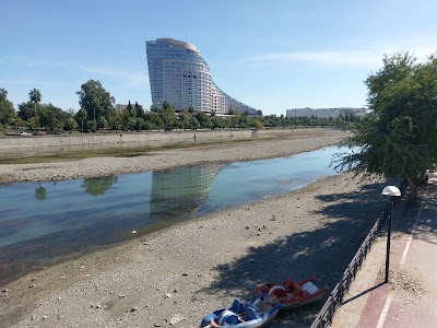 Altın Koza Park